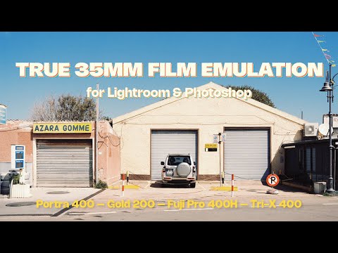 ANALOG VISION STUDIO