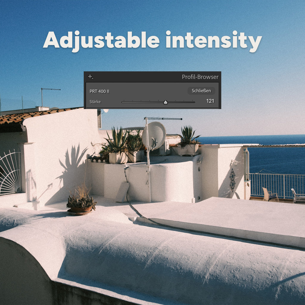 ANALOG VISION STUDIO: Professional Film Emulation Profiles for Lightroom & Photoshop