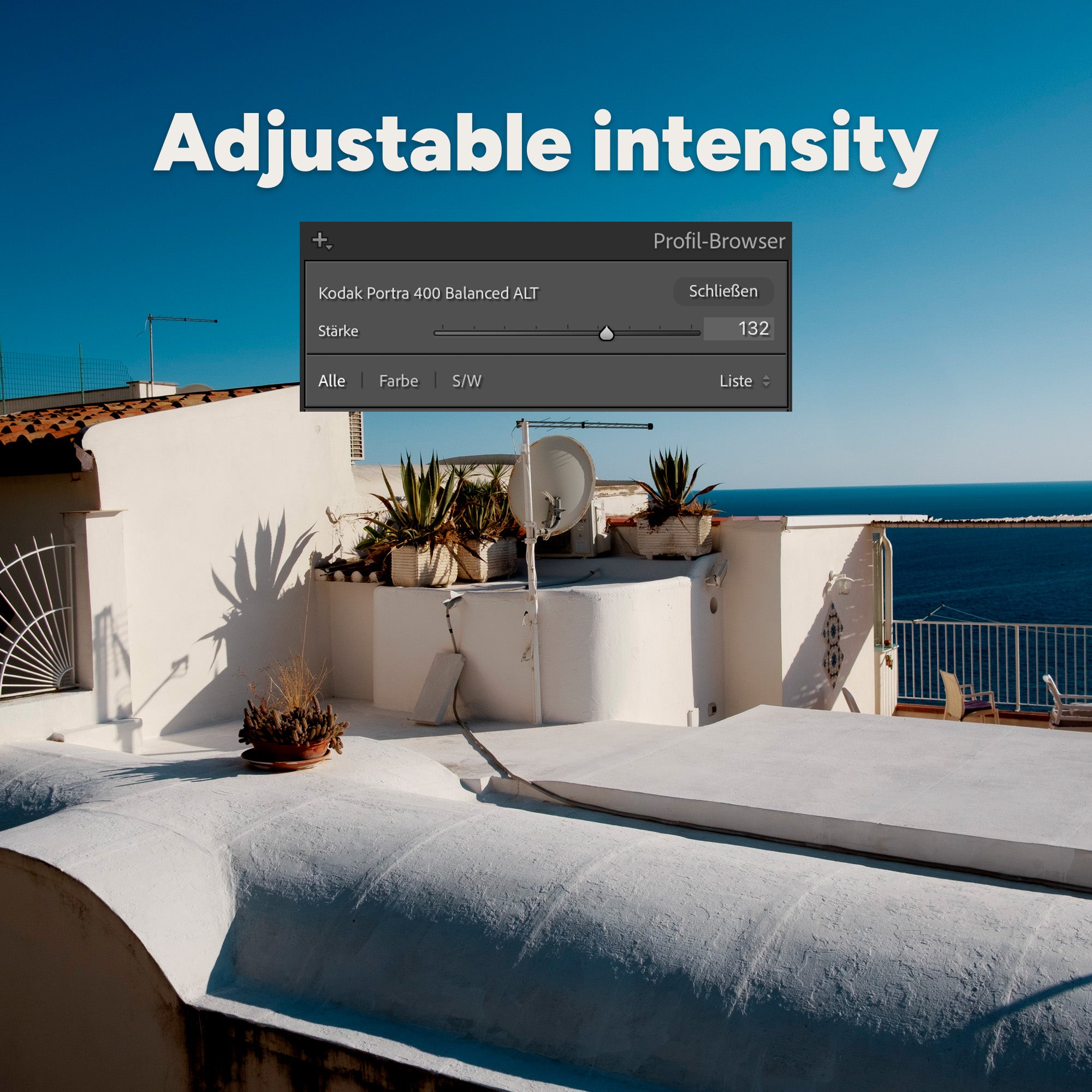 ANALOG VISION STUDIO