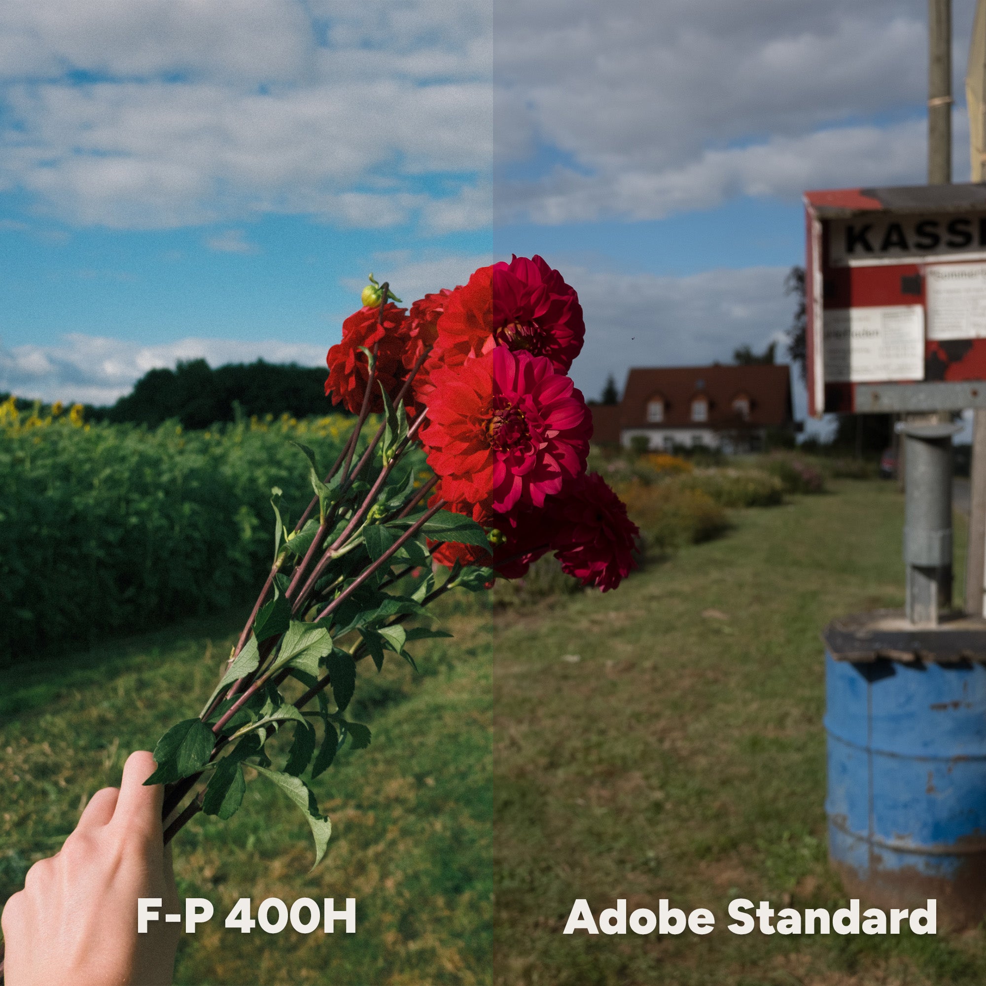 ANALOG VISION STUDIO: Professional Film Emulation Profiles for Lightroom & Photoshop
