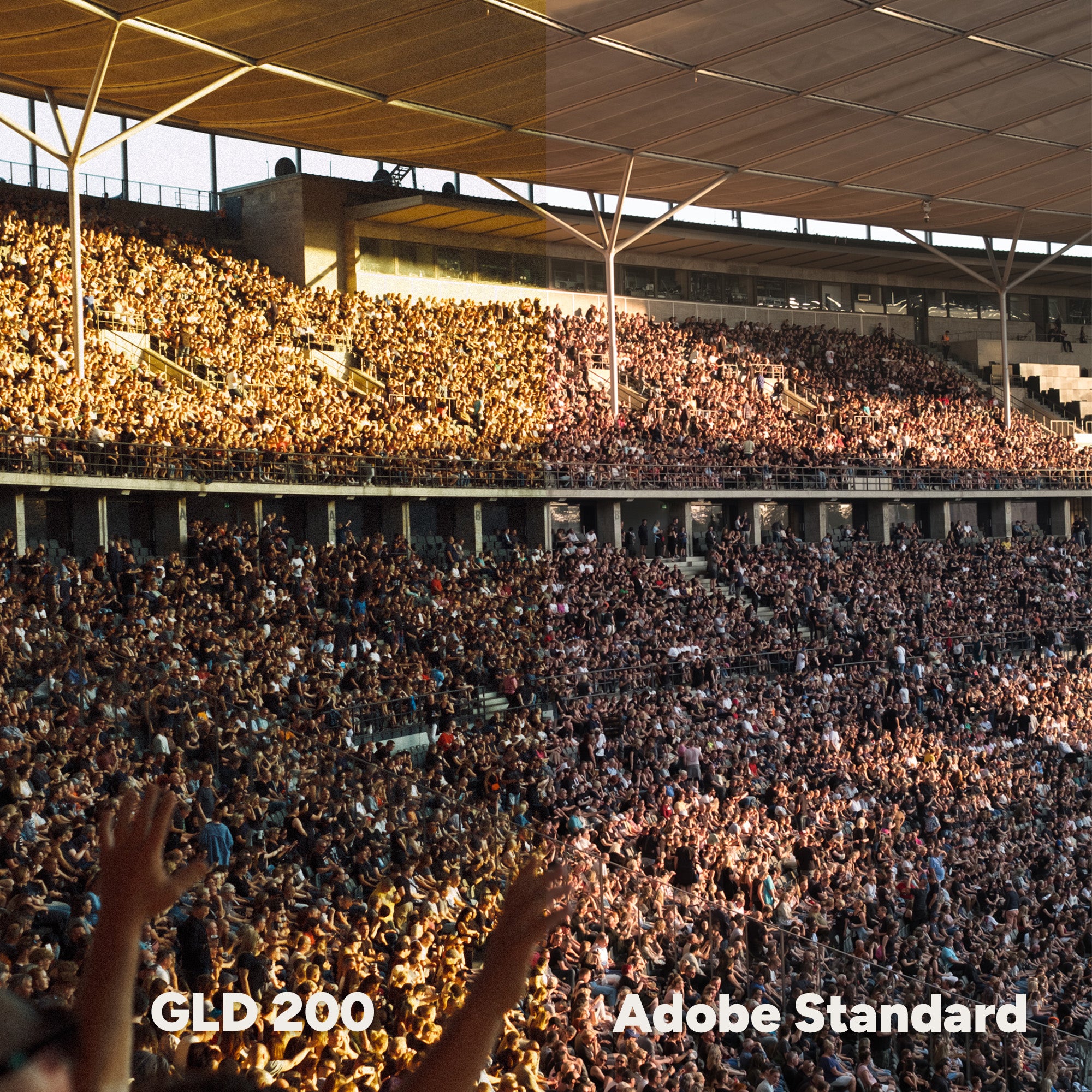 ANALOG VISION STUDIO: Professional Film Emulation Profiles for Lightroom & Photoshop