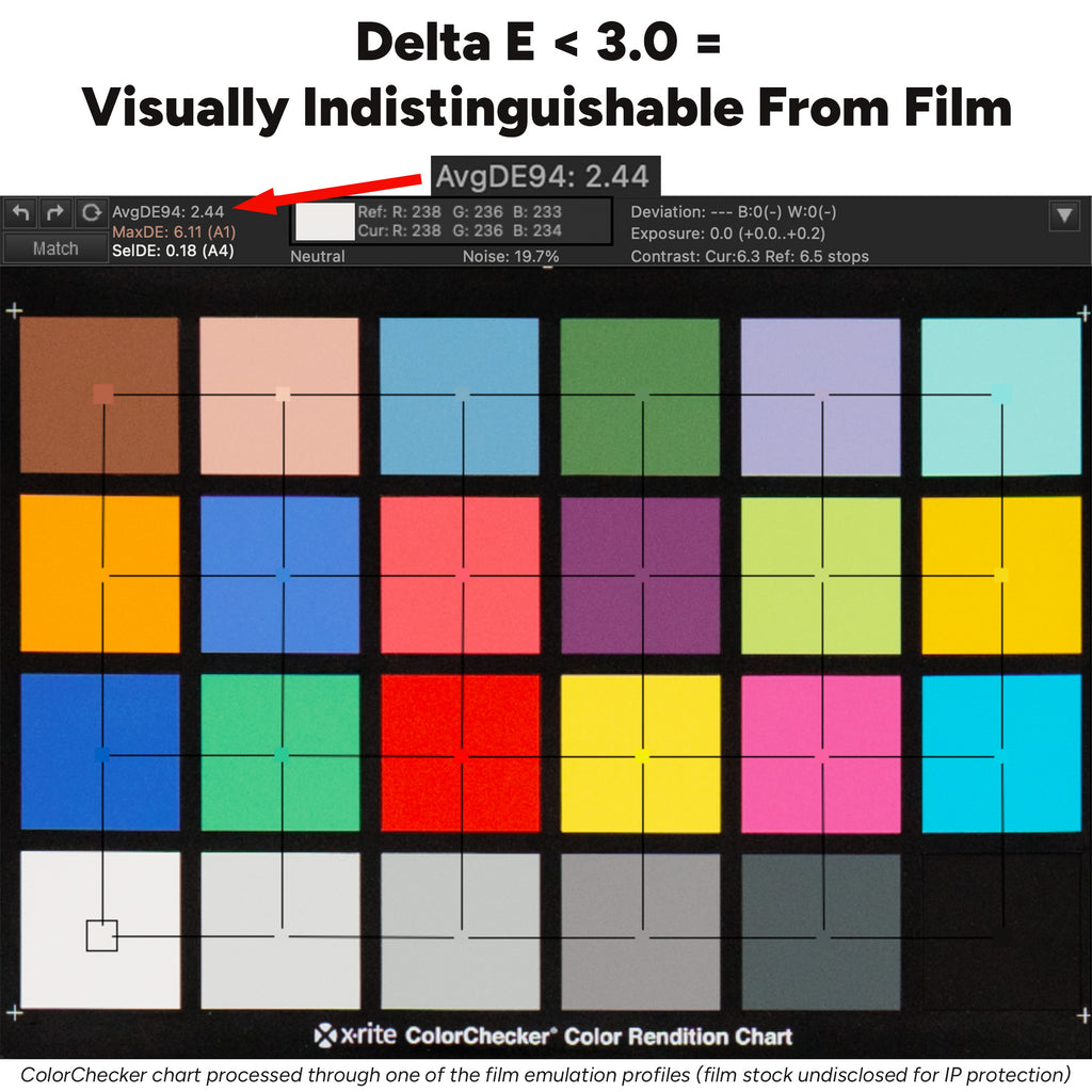 ANALOG VISION STUDIO