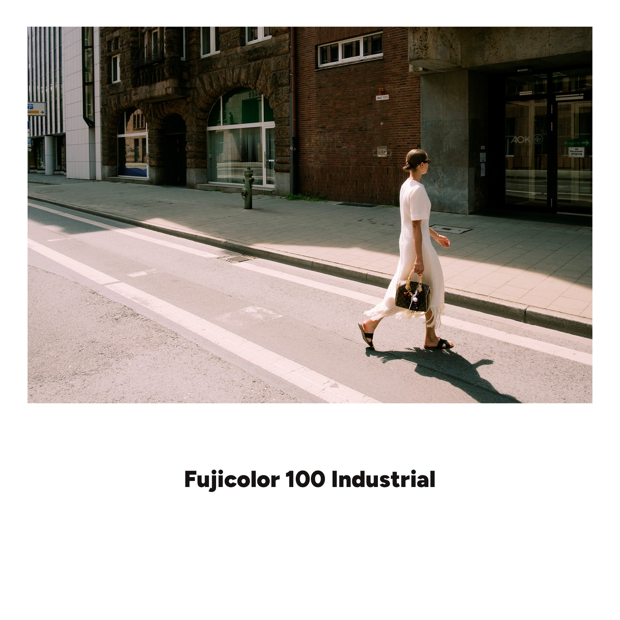 ANALOG VISION STUDIO