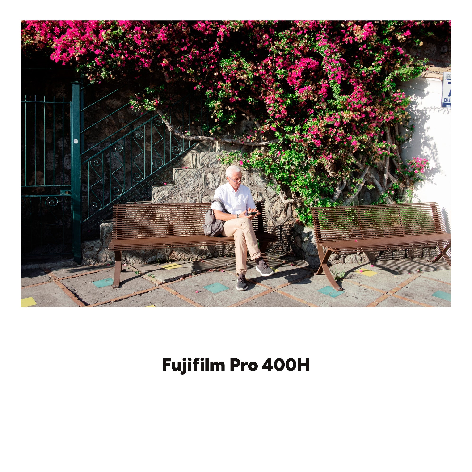 ANALOG VISION STUDIO