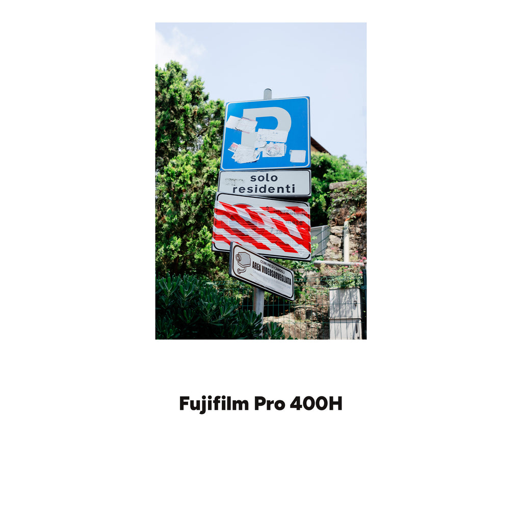 ANALOG VISION STUDIO