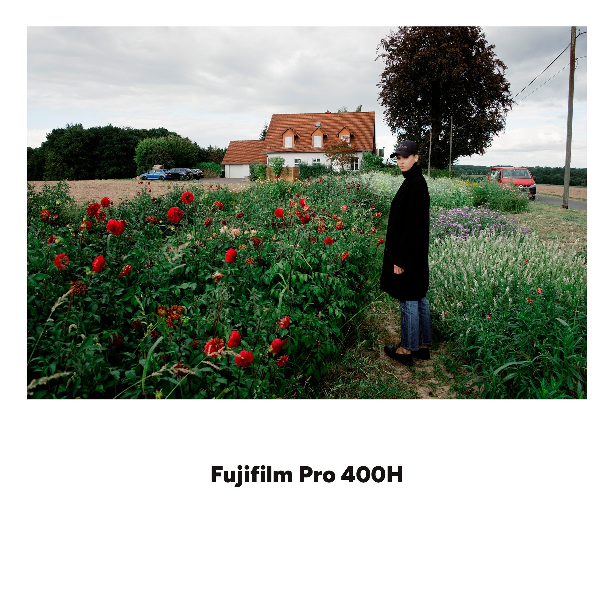 ANALOG VISION STUDIO