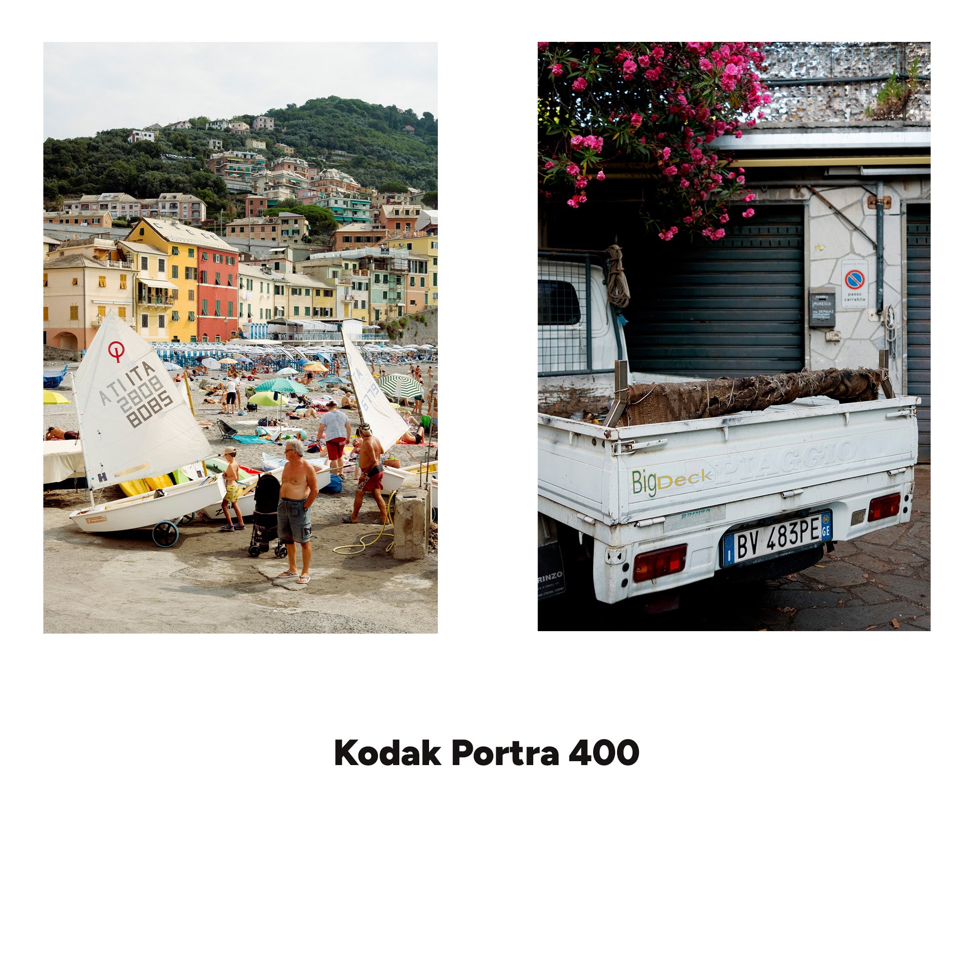 ANALOG VISION STUDIO