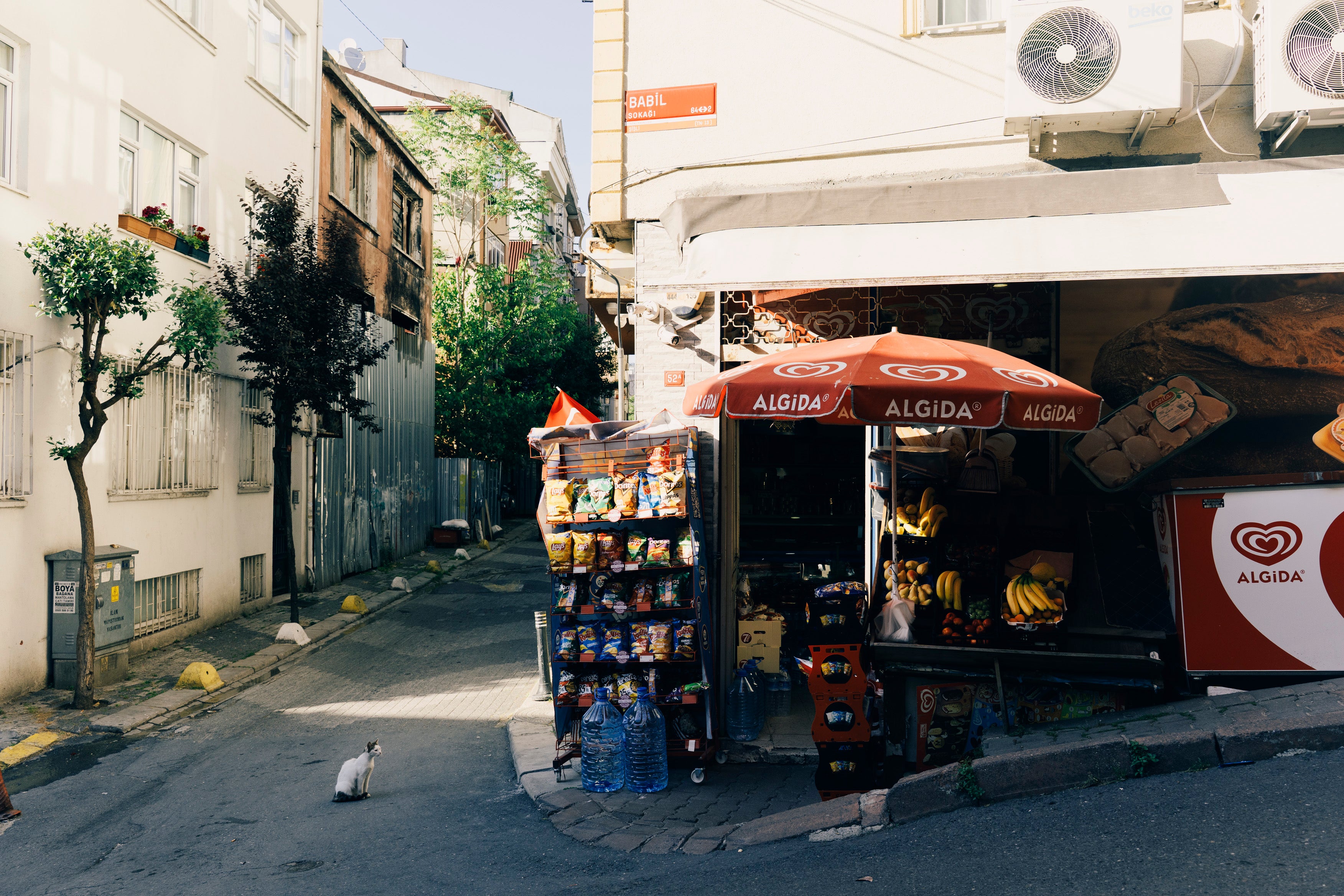 LUMENARY'S SIGNATURE PROFILES