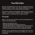 ANALOG VISION STUDIO