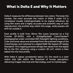 ANALOG VISION STUDIO